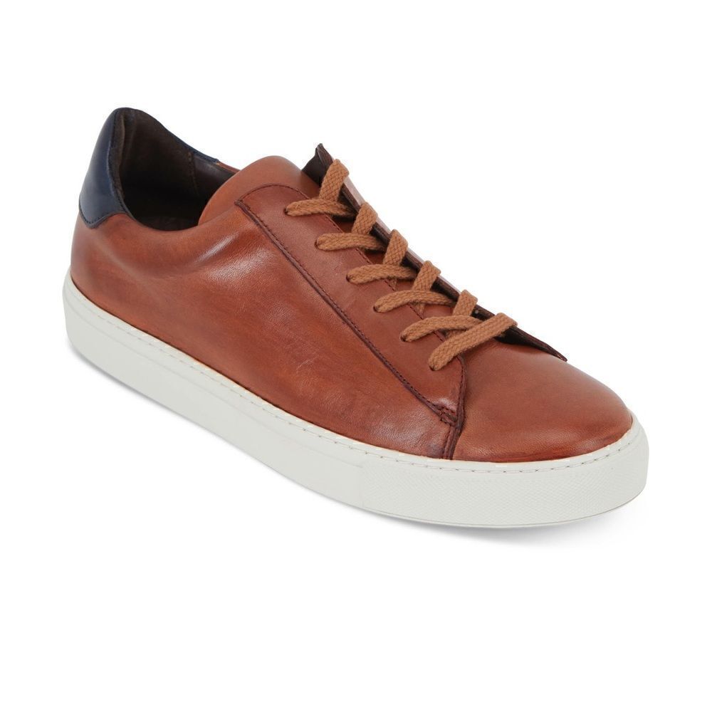 G. Brown Brown & Navy Sneaker